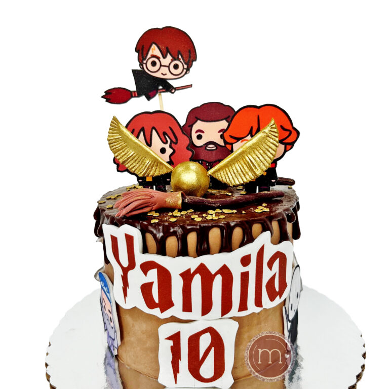 pasteles personalizados HarryPotter